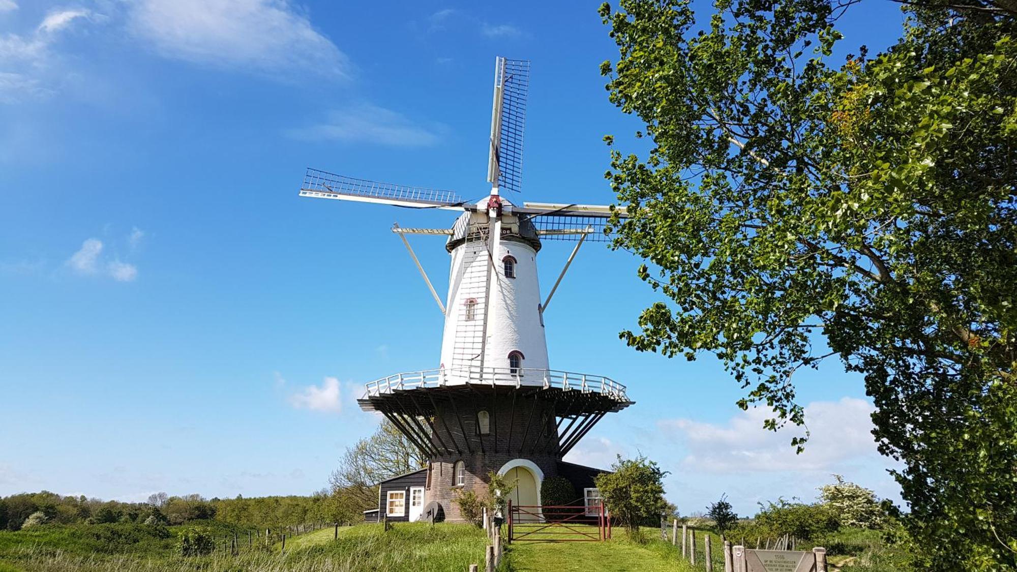 Olmenduin Chalet Olm Zeeland Serooskerke  Exteriör bild